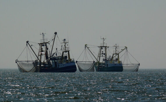 pesca