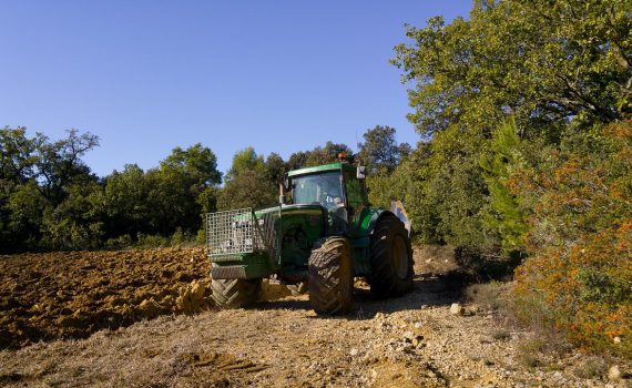 agricultura