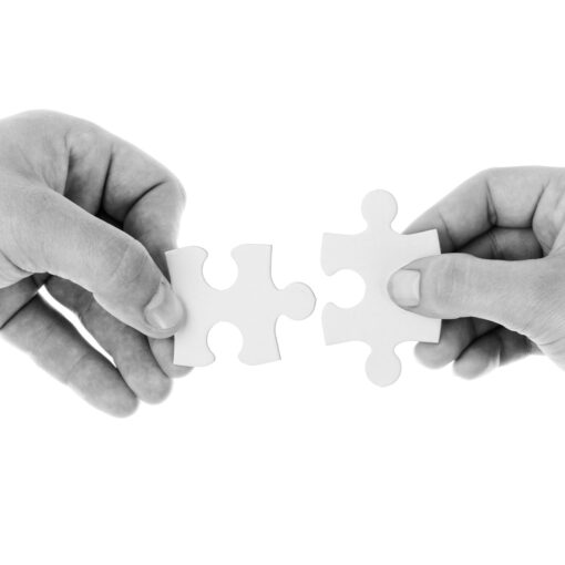Dia Internacional das Cooperativas