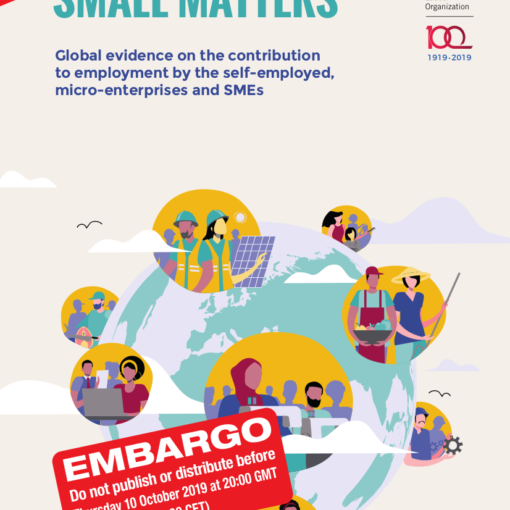 SMALL MATTERS_SUMMARY_ capa