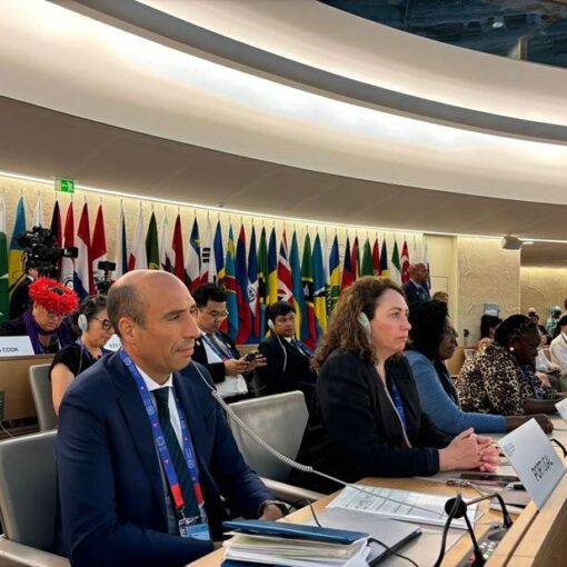 Sala de reuniões da OIT em Geneve com os representantes de Portugal. Bandeiras dos paises representantes no fundo da sala